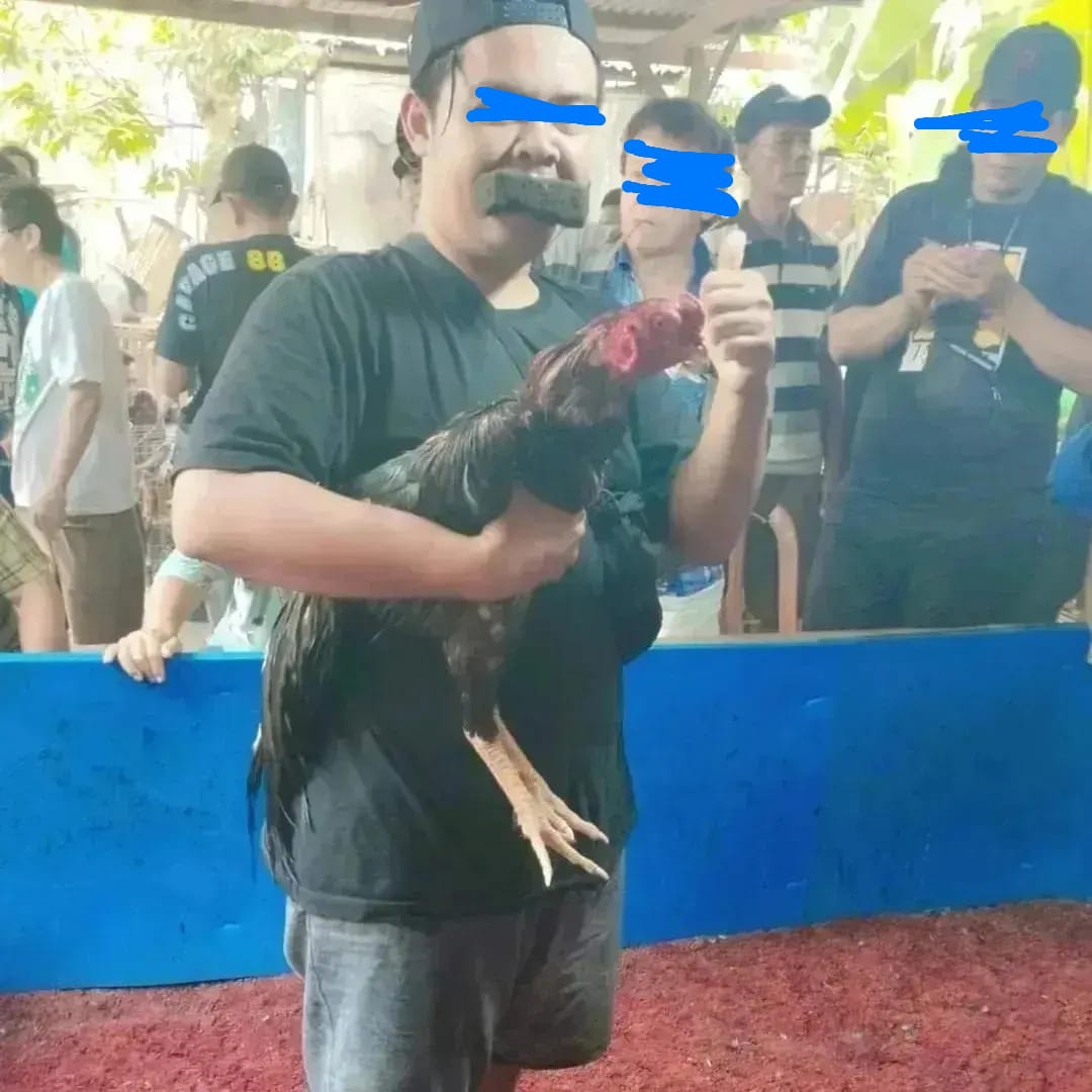 Ketua DKM Masjid At-Taqwa Keluhkan Maraknya Perjudian Sabung Ayam