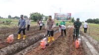 Kapolres Metro Tangerang Pimpin Penanaman Jagung 