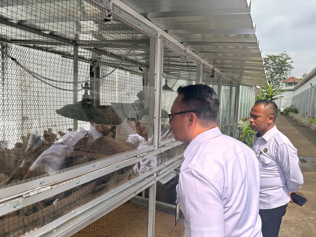 Lapas Kelas IIA Salemba Kembangkan Budidaya Ayam Kampung