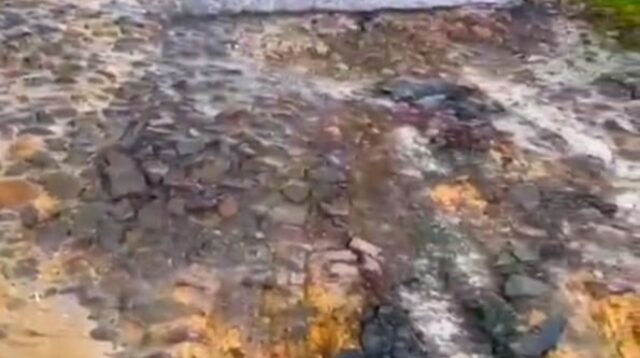 Masyarakat Desa Jaya Pura 2