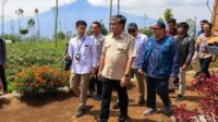 Kemnaker Siapkan Pelatihan Agroforestry untuk Perluas Peluang Kerja Warga Garut 3 Agroforestry