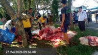 Penyembelihan Hewan Kurban Idul Adha 1447 H Berjalan Lancar di Serua Residence Depok 3 Kurban